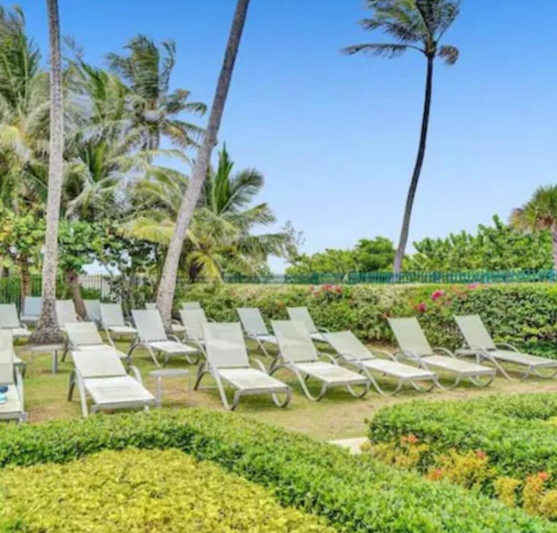Miami Oceanfront- Pool Bar & Gym & Apartment
