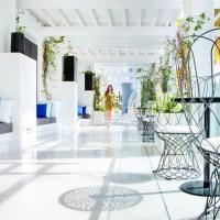 Deluxe And At The Shelborne * Miami Beach