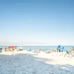 Ocean Reserve P6