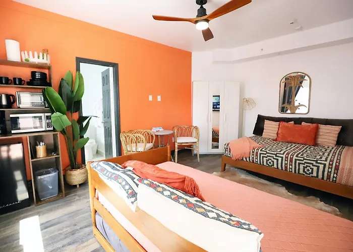 Steps To Sea Miami Beach Free Parking Pet & Family Friendly