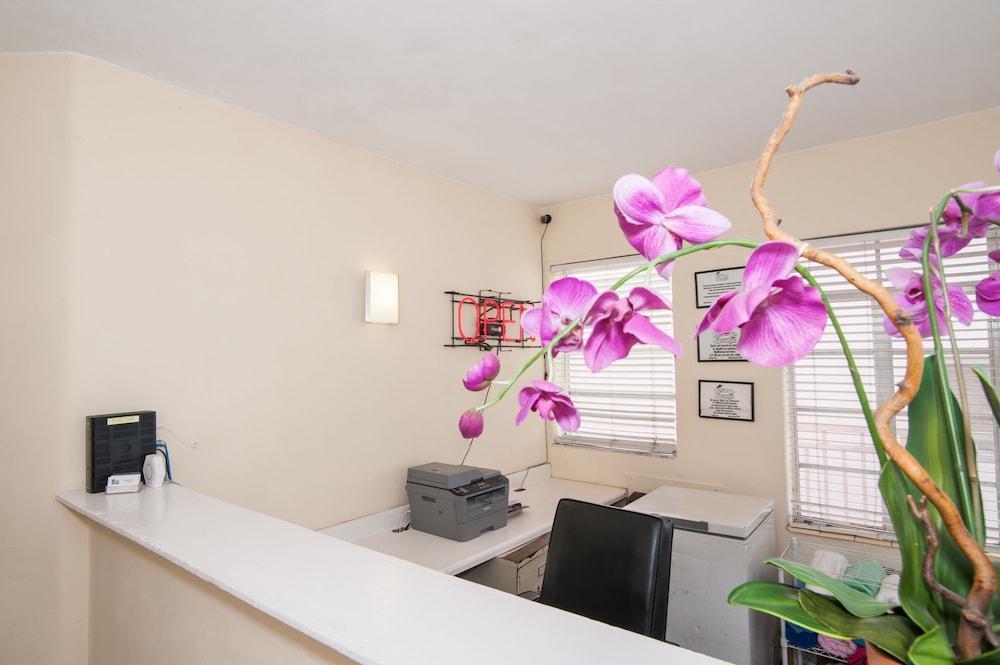 Island House South Beach (adults Only) 3*