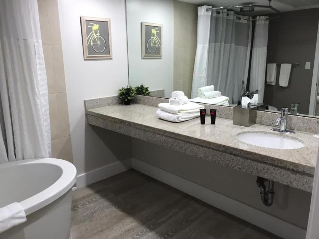 Allure Suites At The Stand On Ocean Miami Beach