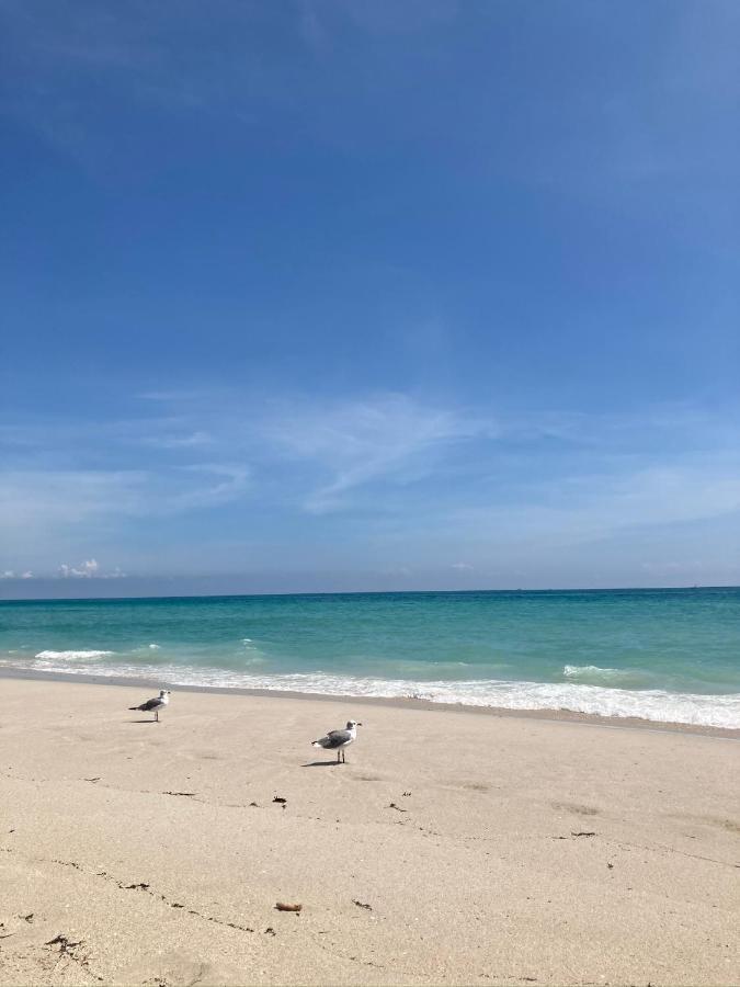Deluxe Double Unit At Congress Ocean Drive South Beach Miami Beach