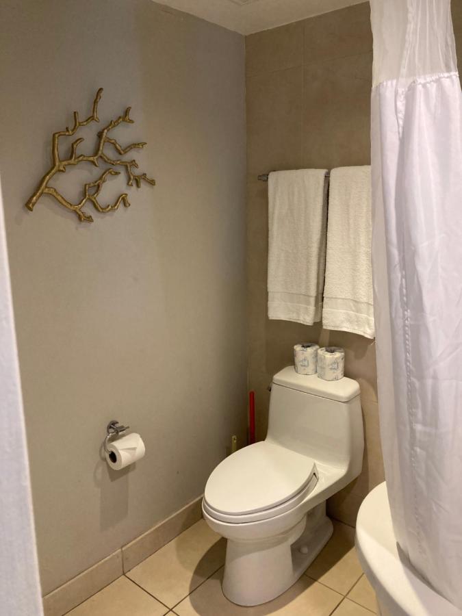 Deluxe Double Unit At Congress Ocean Drive South Beach Miami Beach
