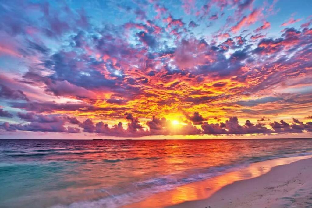Wow! Location! Unit! New Renovated South Ocean Front Apartment Miami Beach