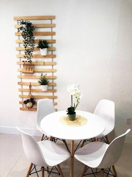 Apartment Modern And Eclectic Aparment A Steps The Miami Beach