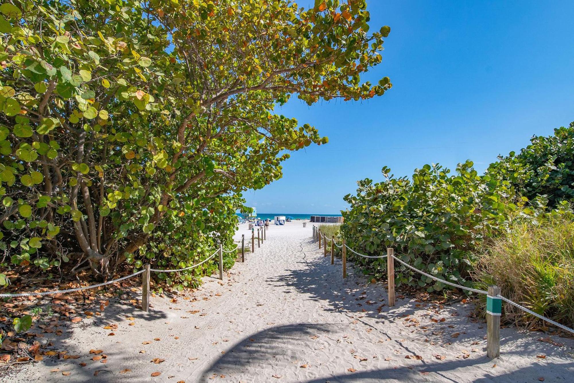 Charming Large Near Ocean Dr - South Apartment *