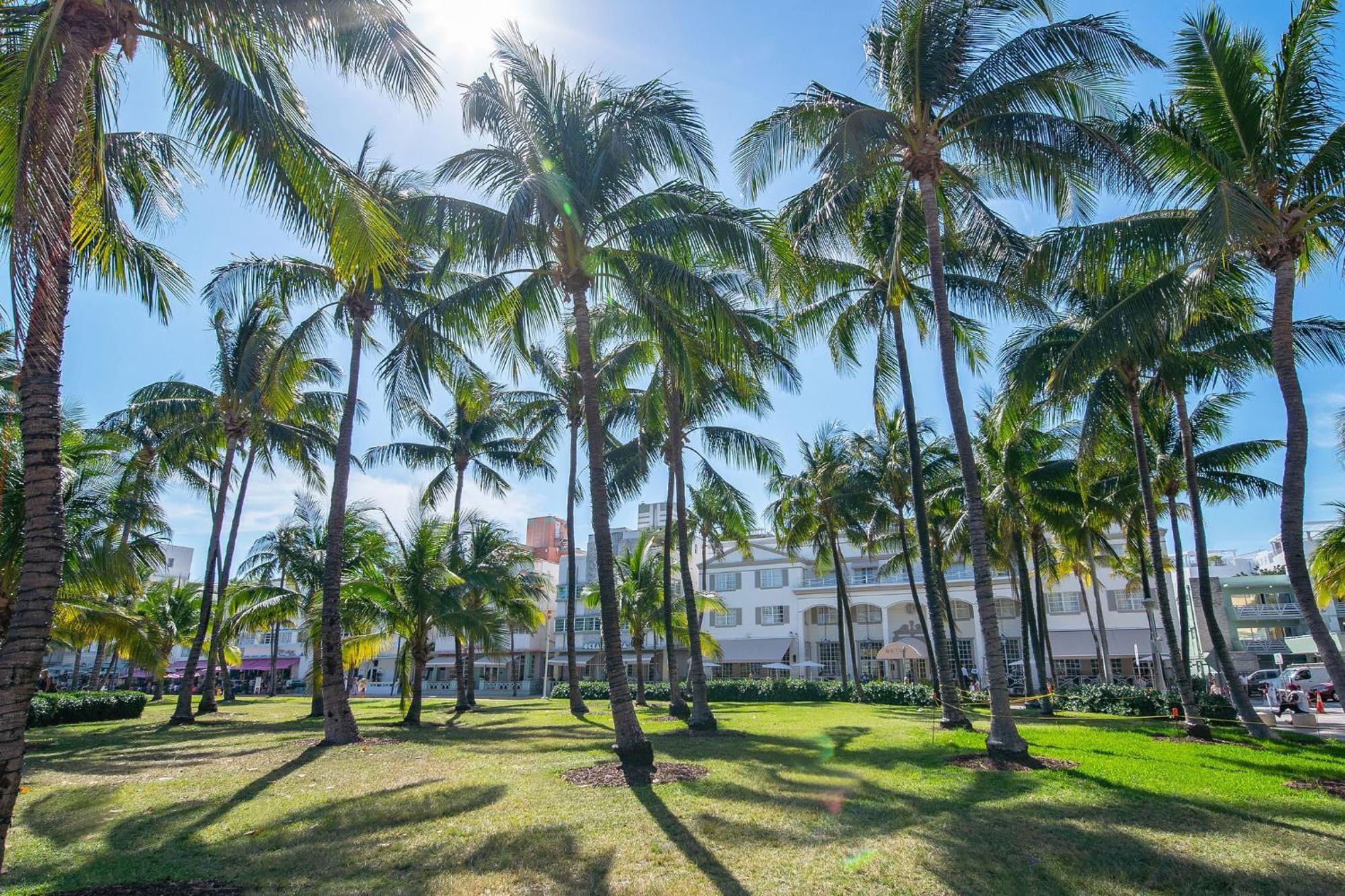 Charming Large Near Ocean Dr - South Miami Beach