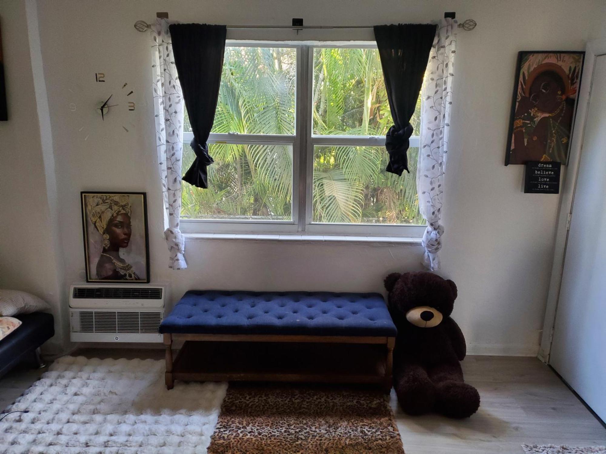 South Beach Fun 420 Friendly Apartment