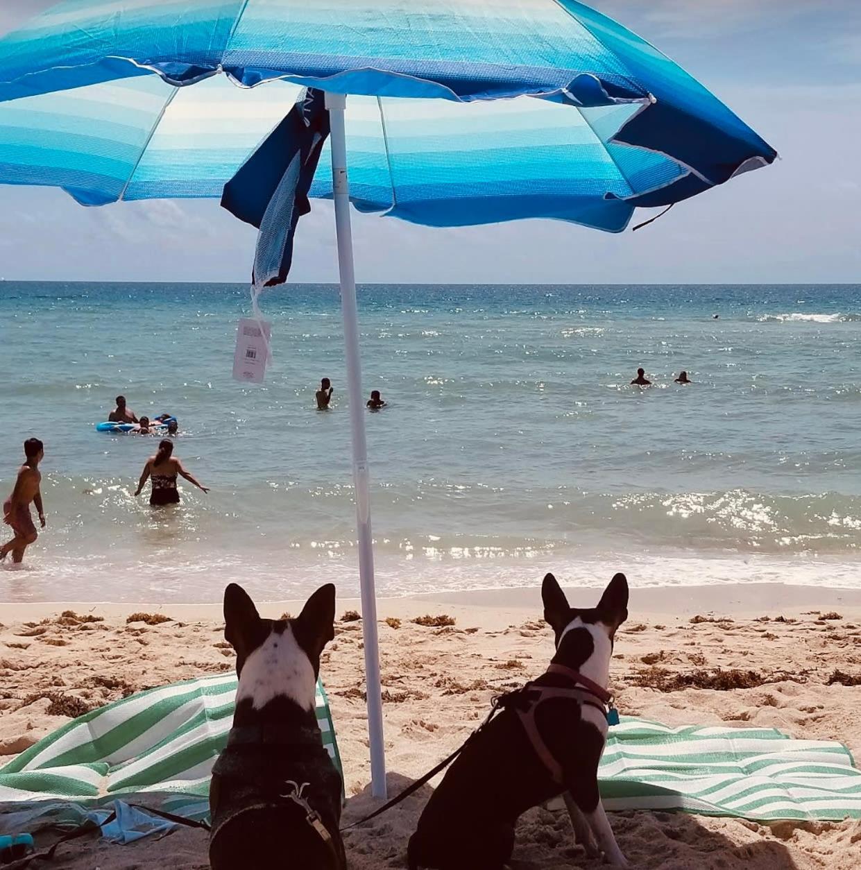 Apartment Steps To Sea Free Parking Pet & Family Friendly *