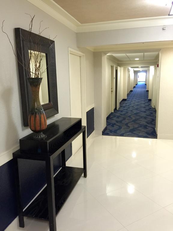 Ocean Reserve Miami Luxury Apartment Miami Beach