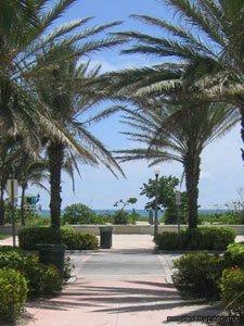 Hotel Hawaii Miami Beach