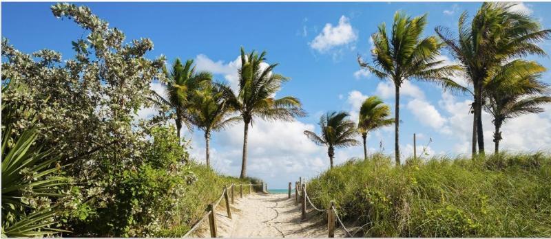 San Juan 4* Miami Beach