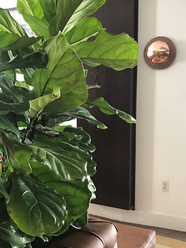 South Plaza Hotel Miami Beach