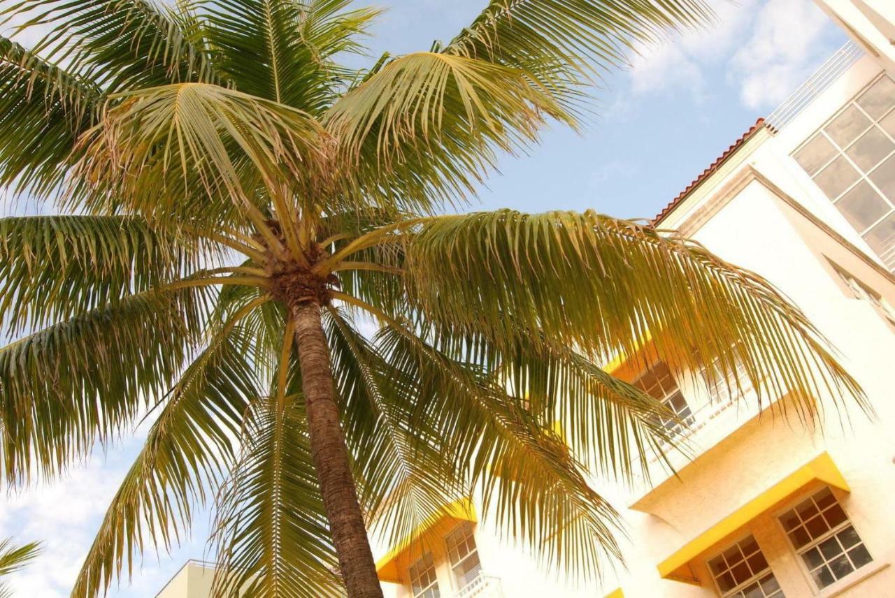 Aparthotel 2 Bedroom Ocean Drive Newly Renovated