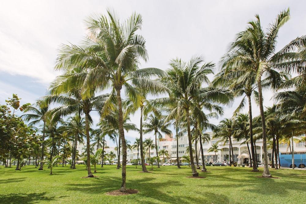 Cardozo 4* Miami Beach
