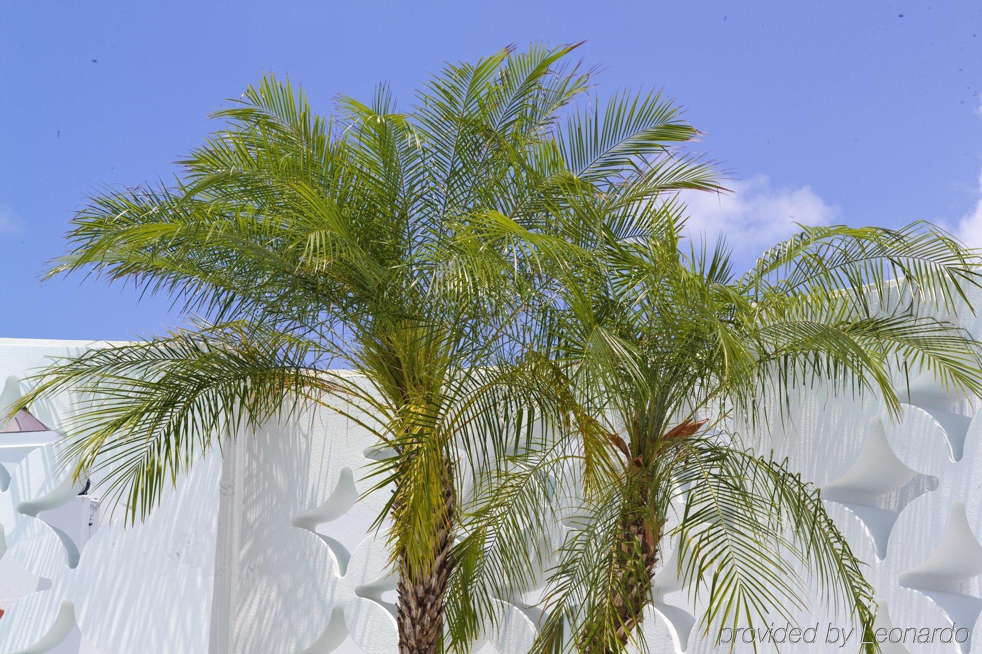 Hotel Dream South Beach, By Hyatt Miami Beach