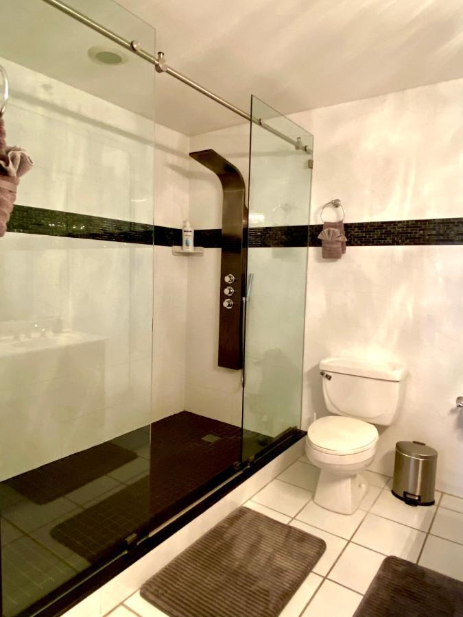Aparthotel Castle Penthouse Or 1br Direct Ocean View -just Remodeled- Miami Beach