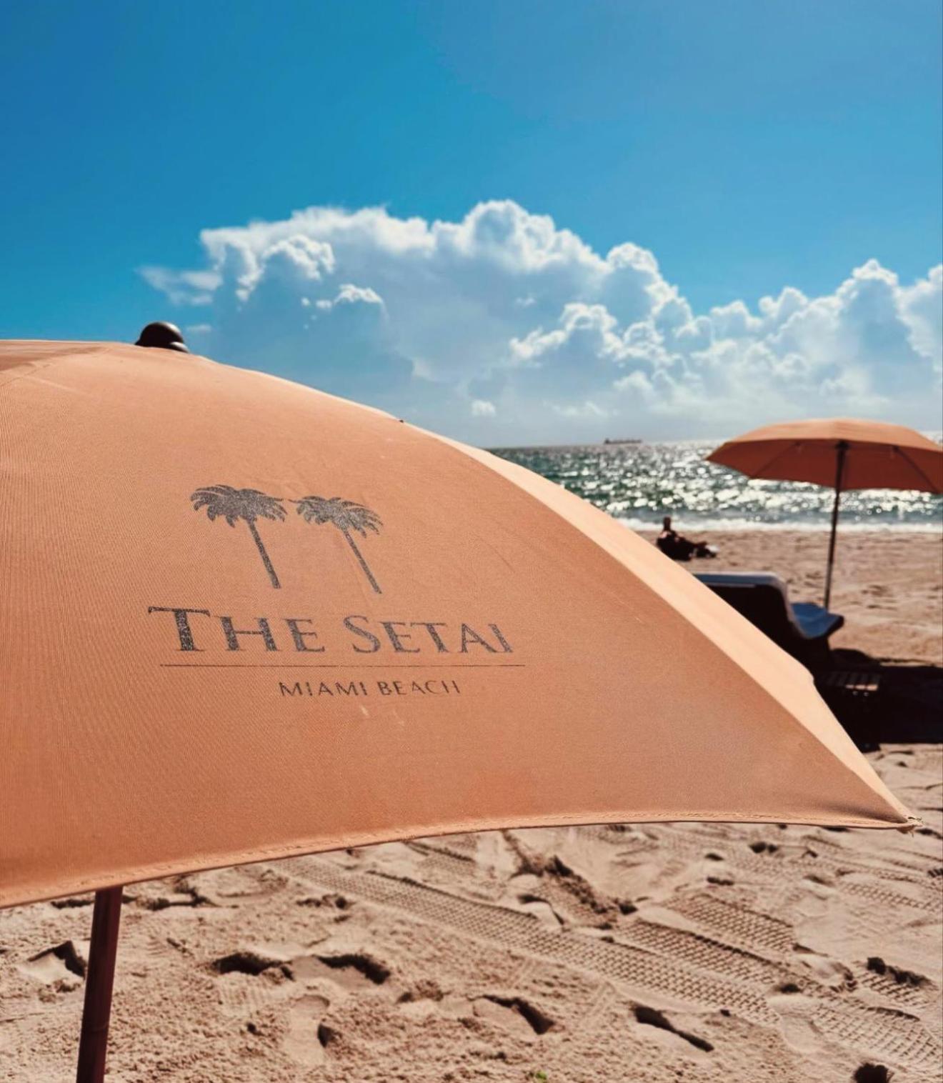 The Setai 5 Stars Hotel-residence Miami Oceanview 2 Bedroom Unique Aparthotel Miami Beach