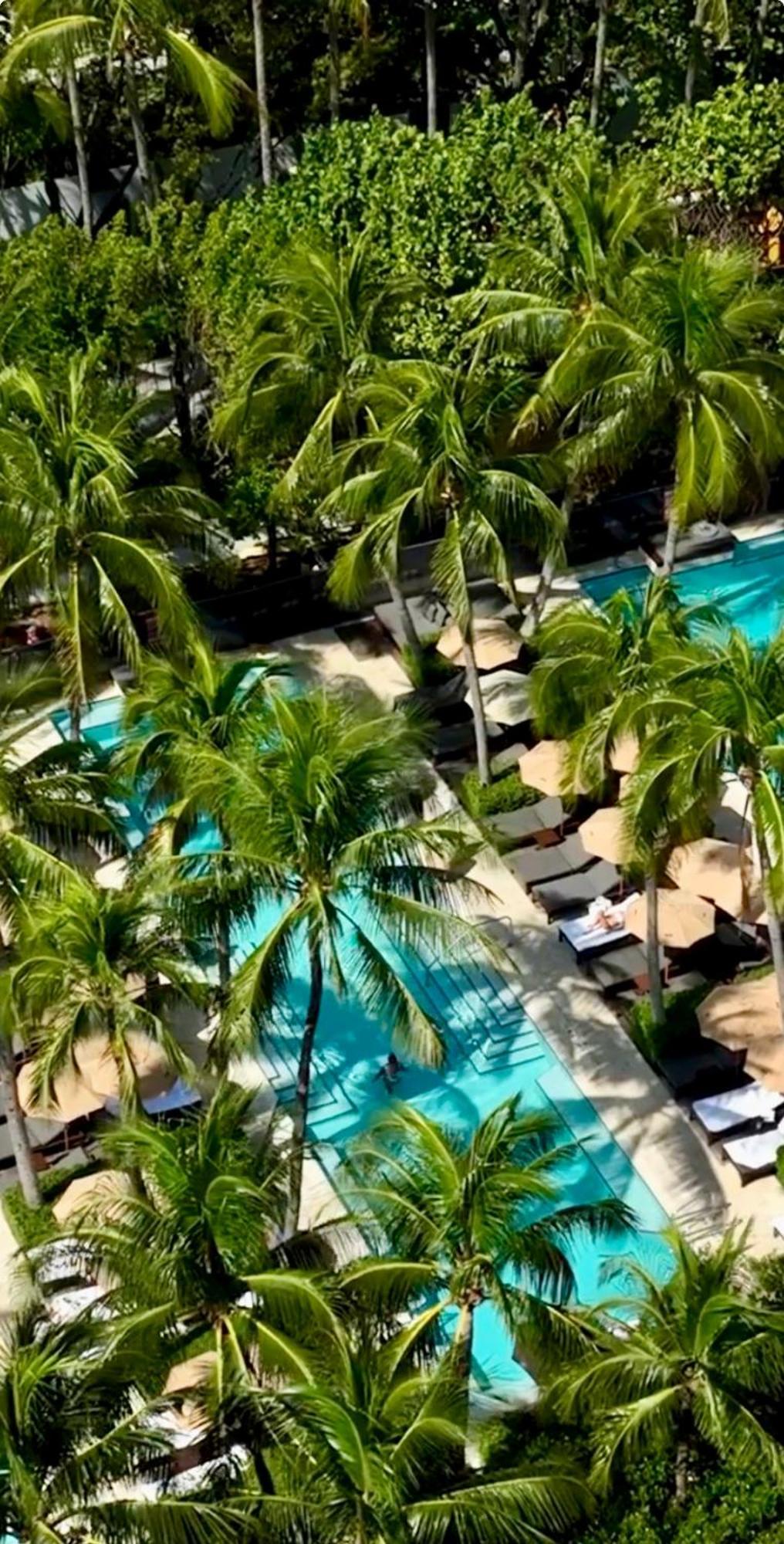 The Setai 5 Stars Hotel-residence Miami Oceanview 2 Bedroom Unique 5*