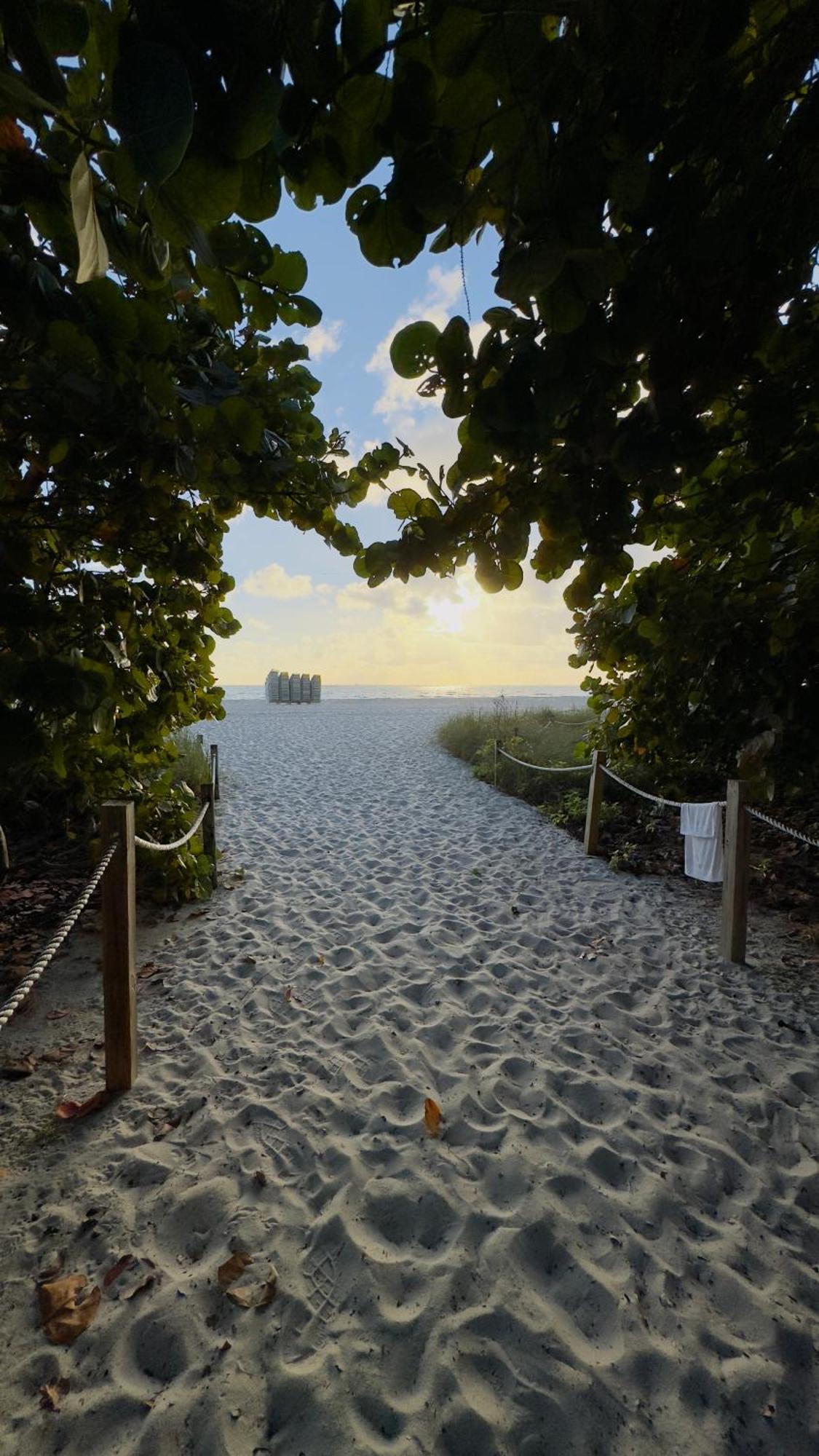 Oceanfront Luxury Miami Escape Pool&gym *