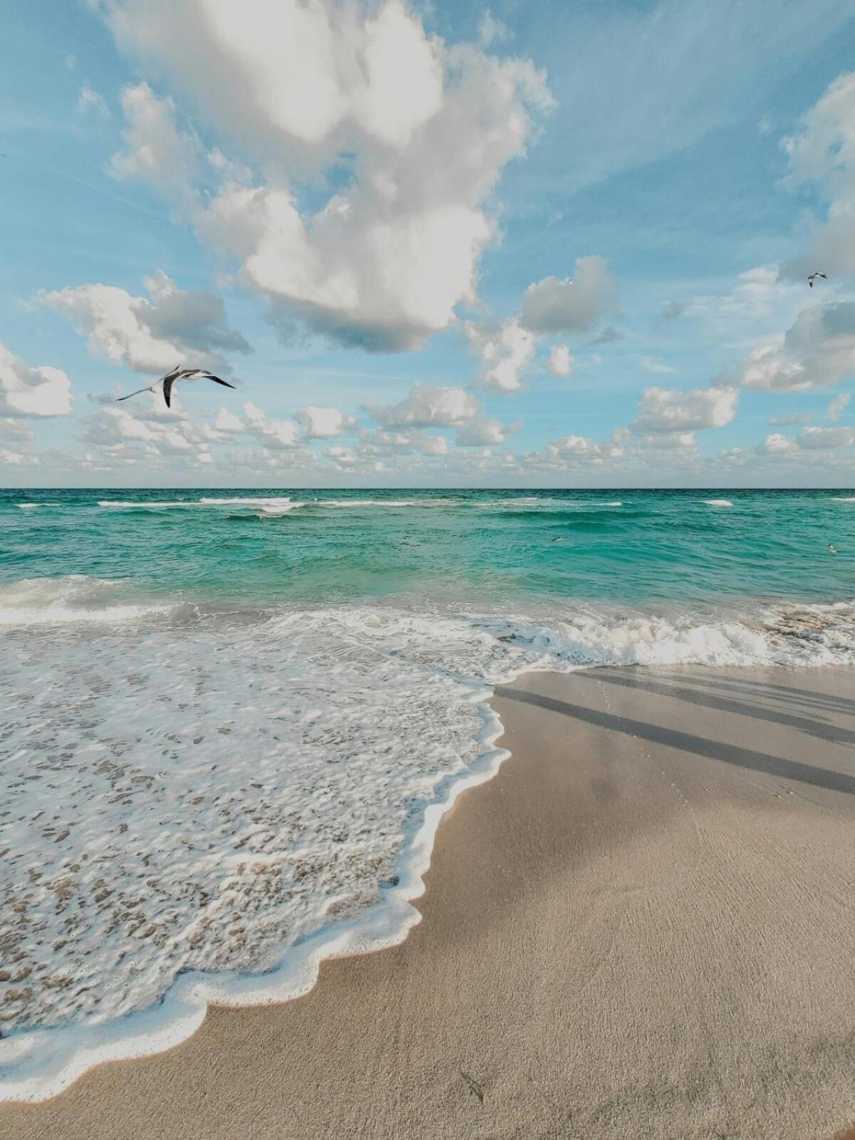 2-min To Beach, Upscale Enclave Apartment