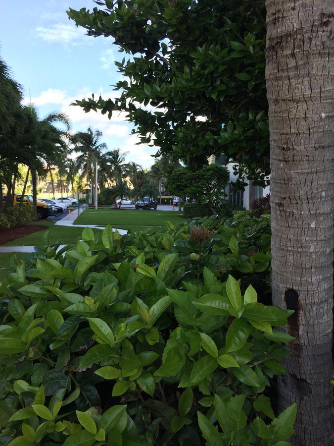 Apartment Ocean Reserve Str-01045 Miami Beach
